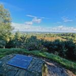 From London: Winnie-the-Pooh's Hundred Acre Wood Day Tour - Exploring Ashdown Forest’s Pooh-Inspired Spots