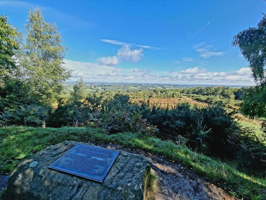 From London: Winnie-the-Pooh's Hundred Acre Wood Day Tour - Exploring Ashdown Forest’s Pooh-Inspired Spots