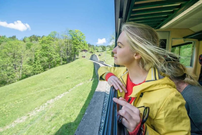 From Lucerne: Top of Europe Private Trip with Cogwheel Train - Eigergletscher Station and Its Glacier Views
