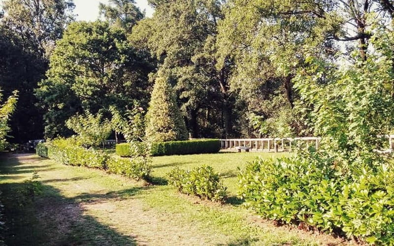 From Lugo: Half-day excursion to the Viladonga Hillfort - Visit to the Viladonga Hillfort: A Well-Preserved Pre-Roman Site