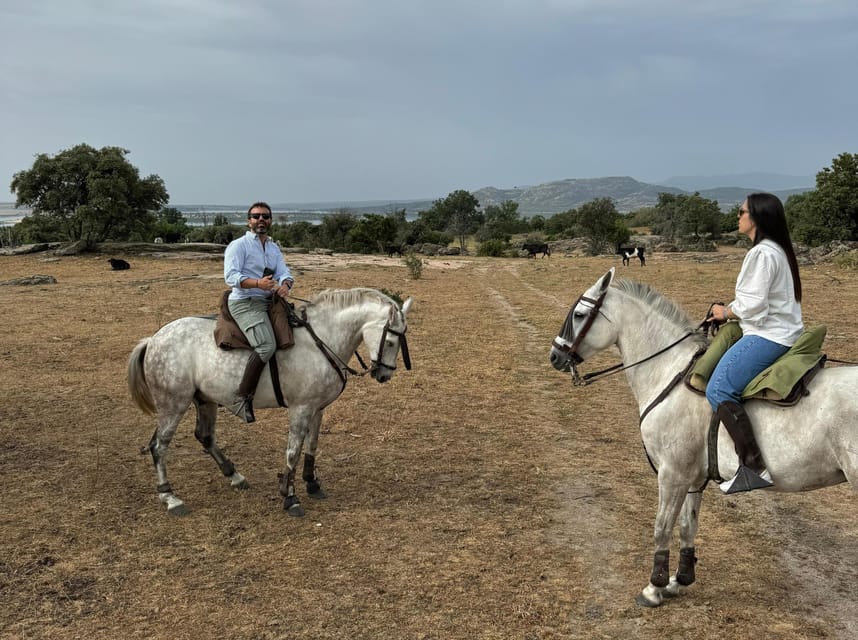 From Madrid: Horseback riding Experience - Starting Point and Transportation Logistics in Madrid