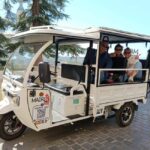 From Madrid to the Sky - Private Tuktuk Tour and Visit to the Madrid Planetarium - Discover Madrid’s Hidden Corners and Vibrant Neighborhoods