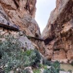 From Málaga: Caminito del Rey Guided Day Trip - Starting Point and Transportation Details in Málaga