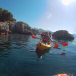 From Málaga: Cliffs of Maro-Cerro Gordo Guided Kayaking Tour - Wildlife Encounters and the Beauty of the Coastal Ecosystem