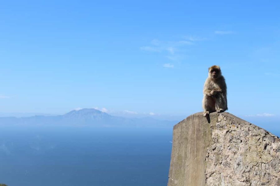 From Malaga: Gibraltar and Tangier Private Day Trip - Starting Point and Transportation from Malaga