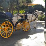 From Málaga: Private Mijas Tour - Luxury Tesla X Ride - Starting Point: Luxury Tesla X Pick-up in Málaga