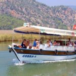 From Marmaris: Day Trip to Dalyan with Lunch - Departure from Marmaris and Transportation Logistics