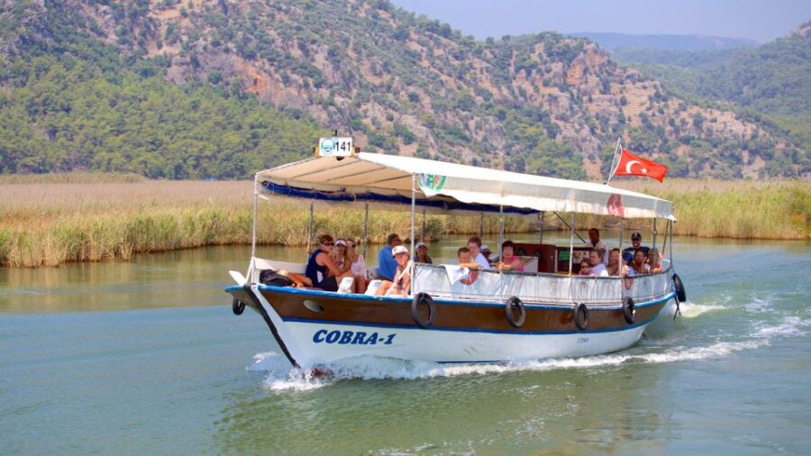 From Marmaris: Day Trip to Dalyan with Lunch - Departure from Marmaris and Transportation Logistics