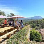 From Marseille: Aix en Provence Wine and Cheese Tour - Departure Point and Transportation Details in Marseille