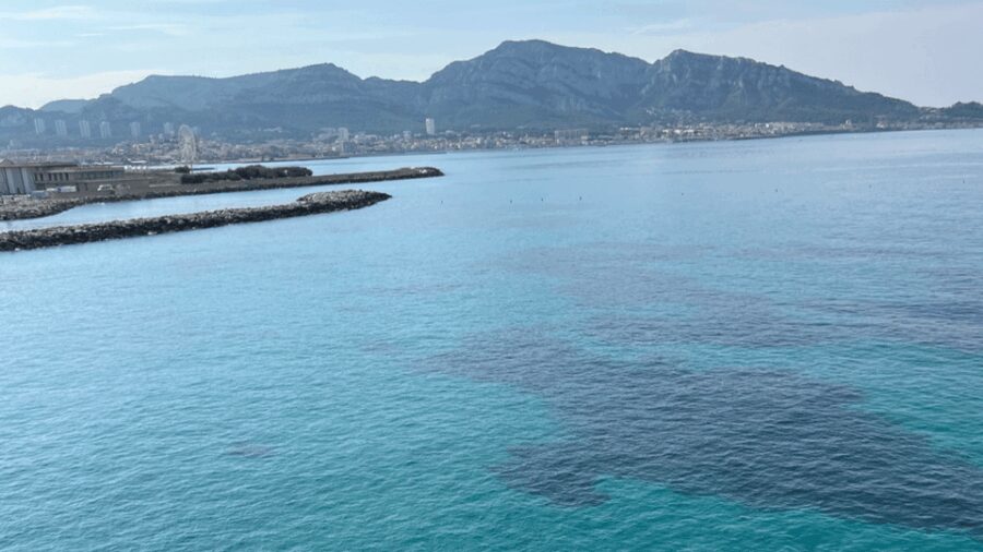 From Marseille to Cassis: a journey to the heart of the calanques and traditions. - Exploring Cassis and Its Picturesque Streets