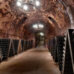 From Milan Full Day in Franciacorta 2 Wineries and Lunch - Visits to Two Distinct Franciacorta Wineries