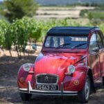 From Montpellier: Winery Tour in a Vintage Citroën 2CV - Exploring the Vintage Citroën 2CV Experience in the Languedoc Region
