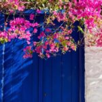 From Mykonos Town: Guided Sightseeing Tour with Windmills - Exploring Mykonos Town with a Local Guide