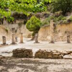 From Nafplio: Ancient Nemea & Cellar Wine Tasting Tour - Visiting the Archaeological Site of Ancient Nemea