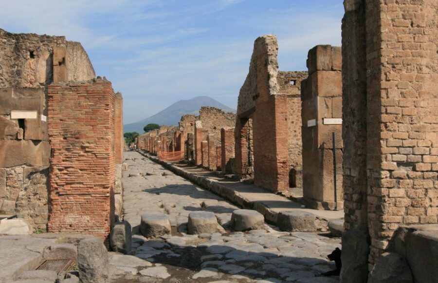 From Naples: Day Trip to Pompeii with skip the line - Skip-the-Line Priority Entrance for Fast Access