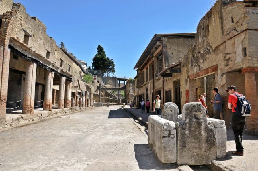 From Naples: Half-Day Herculaneum Tour with Lunch - The Lunch Experience in Pompeii