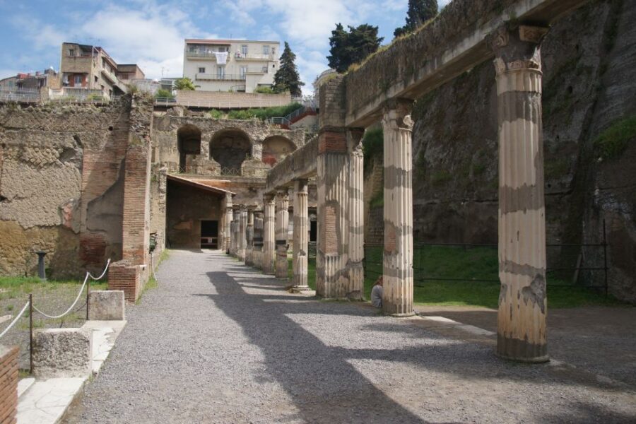 From Naples or Herculaneum: Half-Day Tour in Herculaneum - From Naples to the Ancient Ruins in Comfort and Style