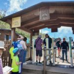 From Naples or Pompeii: Vesuvius Transfer and Entry Ticket - The Scenic Journey to Mount Vesuvius