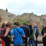 From Naples: Pompeii Tour with Guide, Driver & Ticket - Exploring Pompeii with a Local Guide