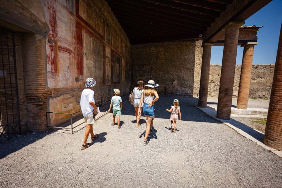From Naples Port: Pompeii Guided Walking tour or Audioguide - What’s Included in the Tour Package