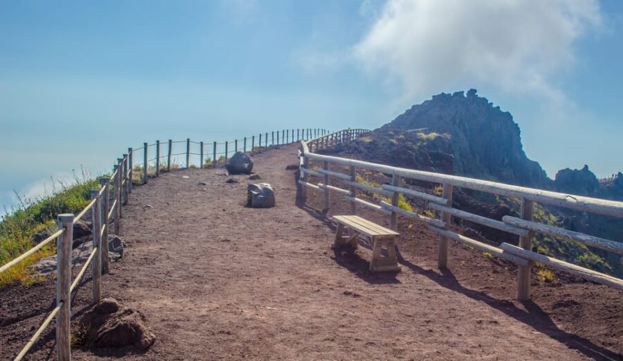 From Naples: Vesuvius and Herculaneum Day Trip with Tickets - Exploring Mount Vesuviuss Crater and Its Breathtaking Views