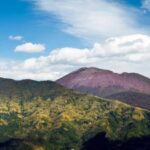 From Naples_ Vesuvius easy transfer+tickets and audioguide - Easy Pickup and Clear Meeting Point in Naples