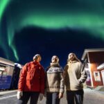 From Narvik: The Northern Lights Arctic Train Guided Tour - Scenic Stop at Bjørnfjell for Photos