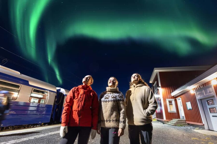From Narvik: The Northern Lights Arctic Train Guided Tour - Scenic Stop at Bjørnfjell for Photos