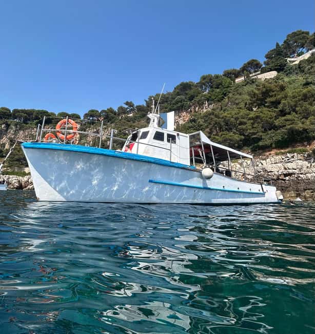 From Nice: Villefranche Bay Swimming & Snorkeling Boat Tour - Meeting at Poseidon Diving & Snorkeling in Nice