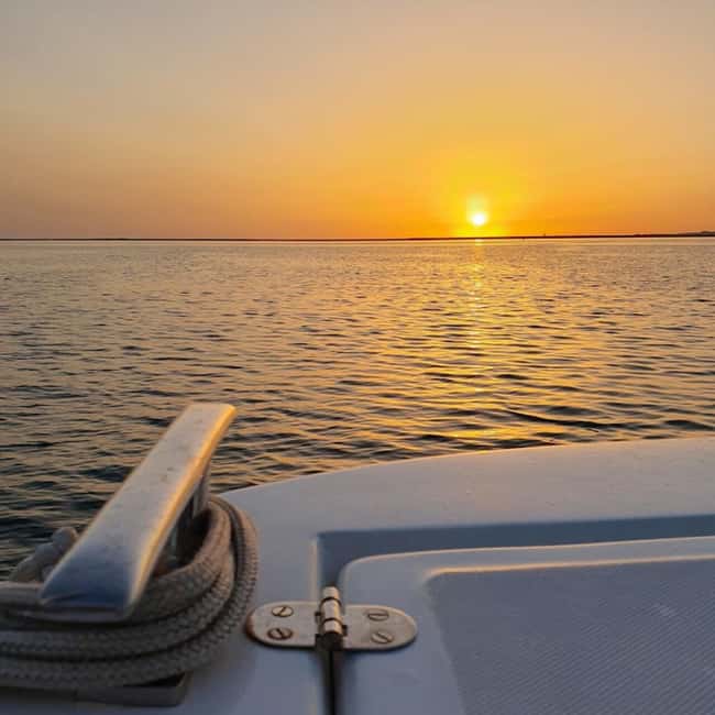 From Olhão: Ria Formosa Sunset Island Boat Tour - What Makes the Ria Formosa Sunset Island Boat Tour Unique