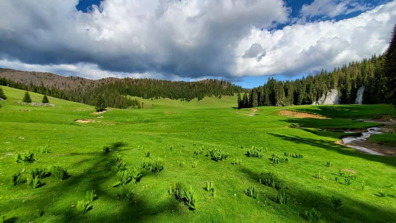 From Oradea: Apuseni Mountains Guided Hiking Tour - Starting Point and Tour Logistics in Oradea