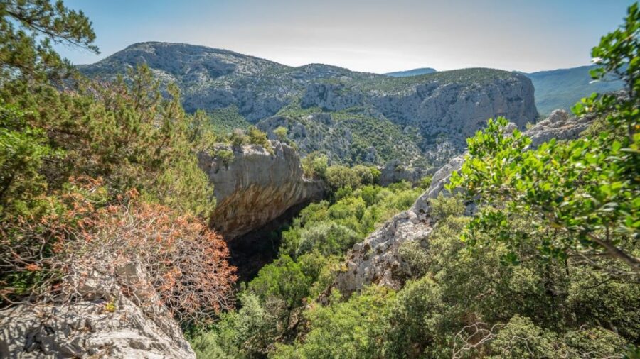 From Orosei or Dorgali: Guided Hike to Tiscali mount - Sweeping Views from 500 Meters Above the Valley