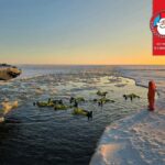 From Oulu: Icebreaker Sampo Cruise & Ice Floating - Embarking from Oulu: Pickup and Transfer Logistics