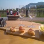 From Padua: Olive Oil & Wine in the Euganean Hills - Olive Oil Mill Visit and Tasting Experience