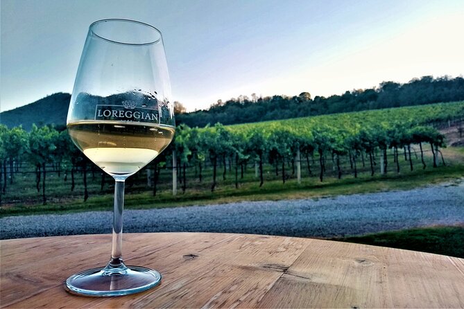 From Padua, Wine Tour in the Euganean Hills - The Scenic Stops: Abano Montegrotto, Castello del Catajo, and Valsanzibio