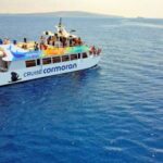 From Paguera: Dolphin Watching Cruise in a Glass-Bottom Boat - What Makes the Dolphin Watching Cruise Special