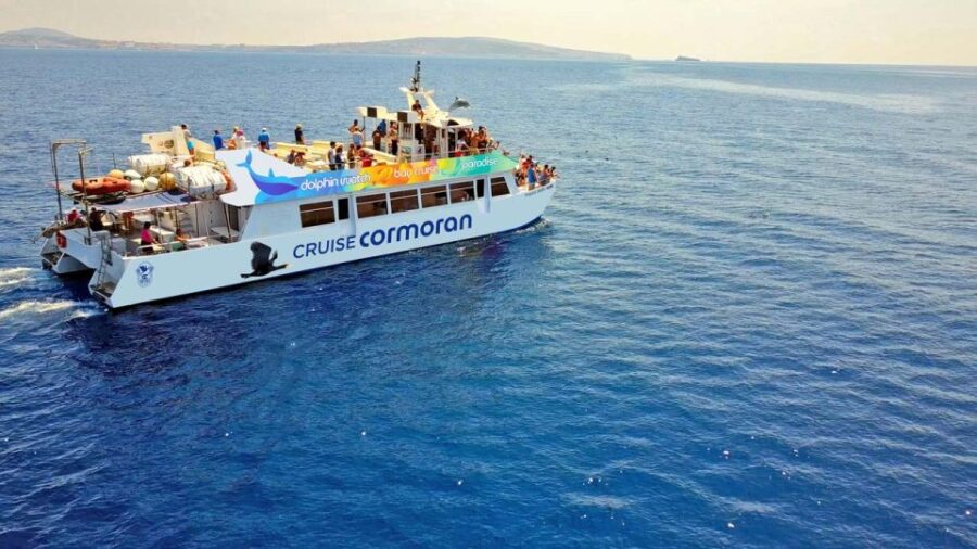 From Paguera: Dolphin Watching Cruise in a Glass-Bottom Boat - What Makes the Dolphin Watching Cruise Special