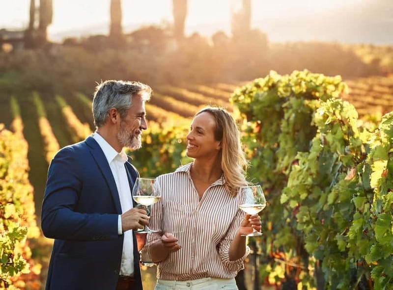 From Palma de Mallorca: Private Wine and Local Flavors Tour - How the Tour Begins at Palma’s Meeting Point