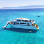 From Paphos: Blue Lagoon Tour with BBQ and Hotel Pickup - The Blue Lagoon Stop: Swimming, Snorkeling, and Relaxation