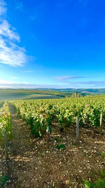 From Paris: Champagne, gastronomy and culture - Departure from Paris with Included Transfers and Meals