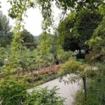 From Paris: Giverny and Monet's Home Day Trip - Discover Monet’s House and Paintings at Giverny