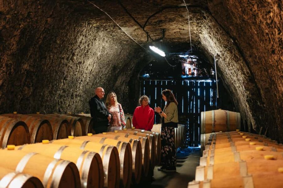 From Paris: Loire Valley Chambord Castle and Wine Tasting - Comfortable Transport and Scenic Drive Through the Loires Vineyards