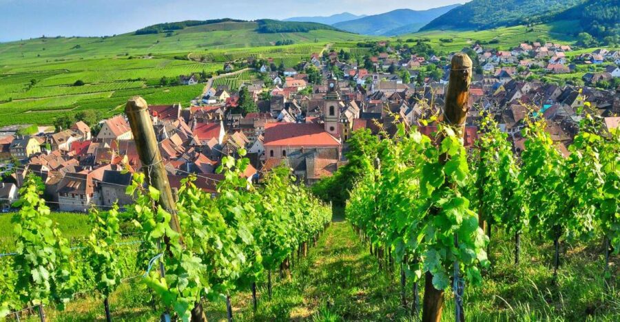 From Paris: Small-Group Champagne Day Trip with Six Tastings - A Visit to Reims Cathedral, a Gothic Masterpiece