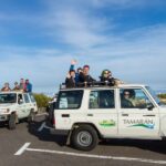 From Playa de las América: Half-Day Jeep Safari Tour - Starting Point and Tour Schedule in Costa Adeje