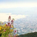 From Pompeii: Bus Transfer to Vesuvius with Park Entry Fee - What Makes This Tour Stand Out: Park Entry and Self-Guided Climb