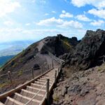 From Pompeii: Mont Vesuvius excursion - Comfortable Transport through Vesuvius National Park