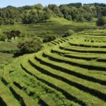 From Ponta Delgada: Furnas Lake Shore 4x4 Guided Day Trip - Inside a Volcano and the Fumaroles of Furnas
