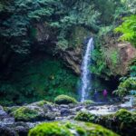 From Ponta Delgada: Hiking Moinho do Félix - Discover the Route from Ponta Delgada to the Lomba de São Pedro