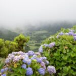 From Ponta Delgada: Vista do Rei to Sete Cidades Guided Trek - Starting at Vista do Rei: The Gateway to São Miguel’s Iconic Landscapes