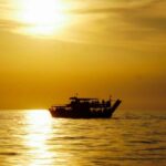 From Pore: Evening Dolphin Cruise with Welcome Drink - Spotting Dolphins in the Croatian Marine Environment